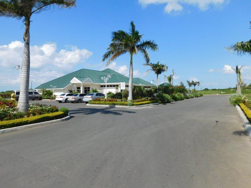Villa Ocho Rios Under The Palms Exterior foto