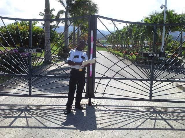 Villa Ocho Rios Under The Palms Exterior foto